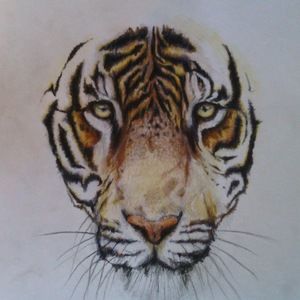 Meet your Posher, Luke